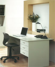 WorkStyle Desk 1200Wx650Dx715H